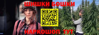 гашик Жуковский