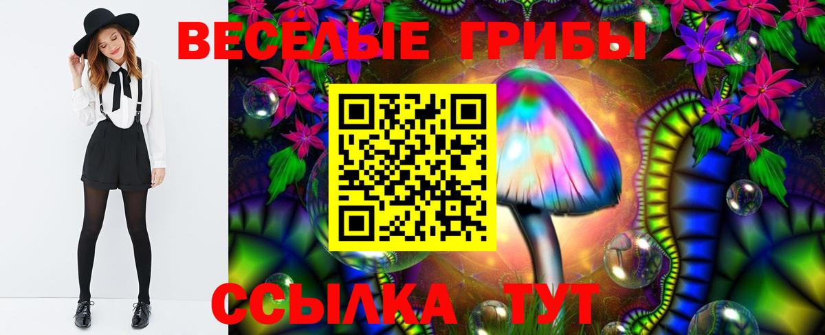Галлюциногенные грибы GOLDEN TEACHER  Вход с VPN  Менделеевск 