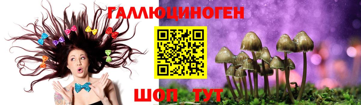 Галлюциногенные грибы мицелий Менделеевск