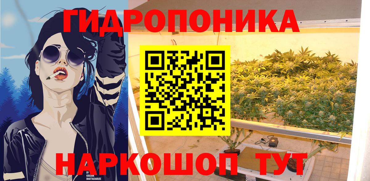 Шишки марихуана OG Kush Менделеевск